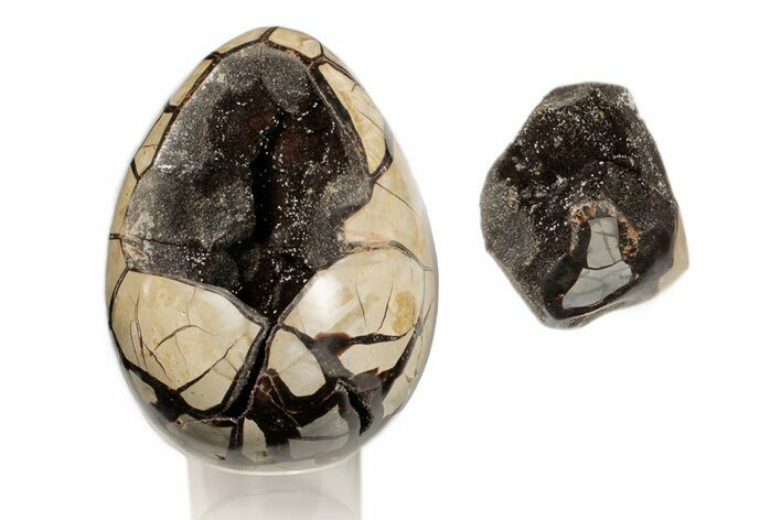 Septarian Dragon Egg Geode - Removable Section #199997